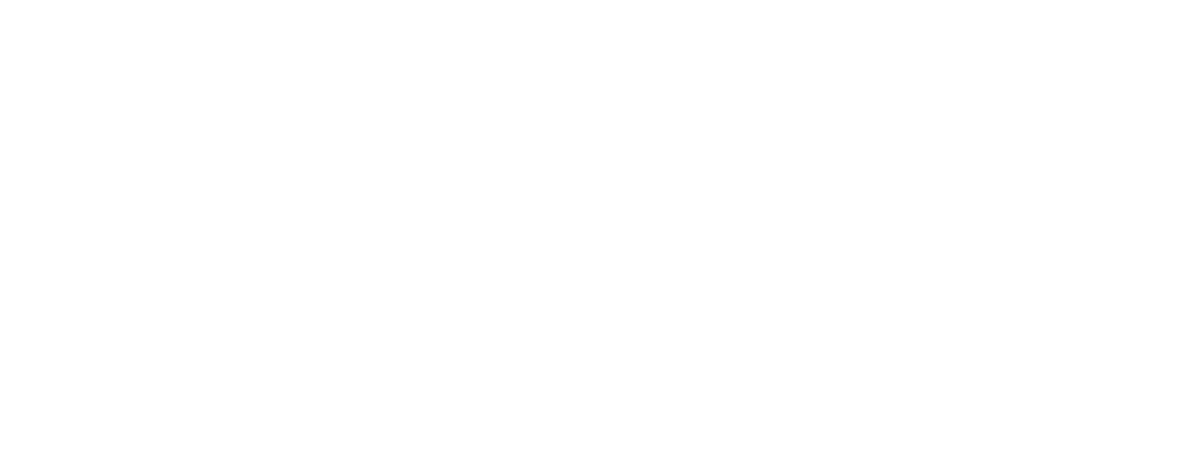 Logo Phonemica